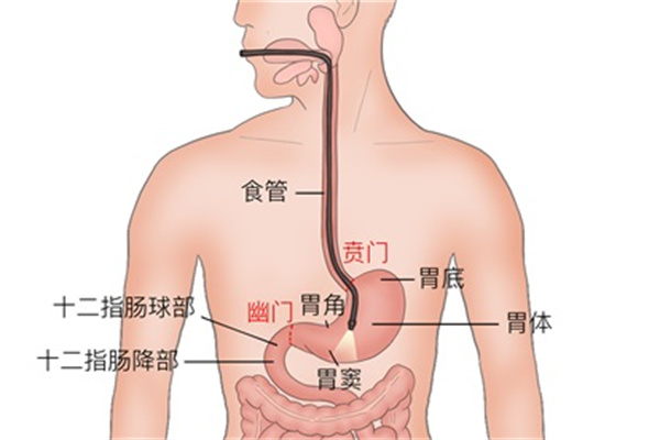 阳虚阴虚的症状有哪些