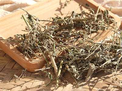 地稔草
