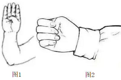 握固的锻炼方法