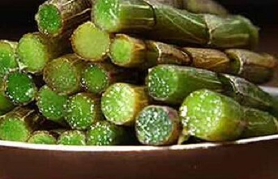 铁皮石斛