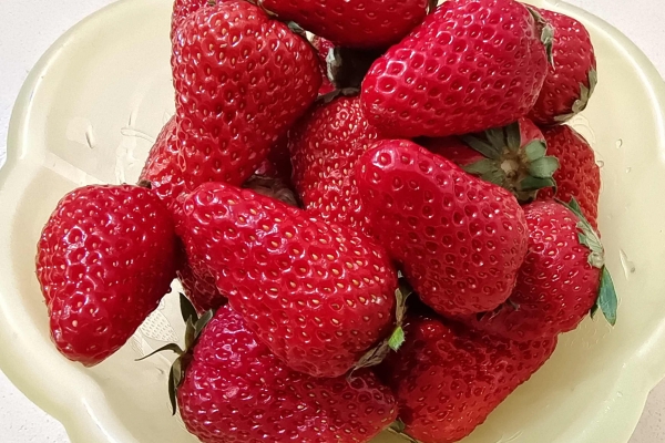 刚怀孕可以吃草莓吗