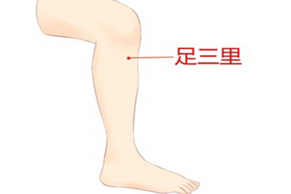湿气重三伏贴贴哪里