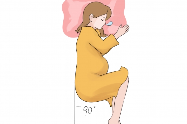 苏子叶什么人不能吃