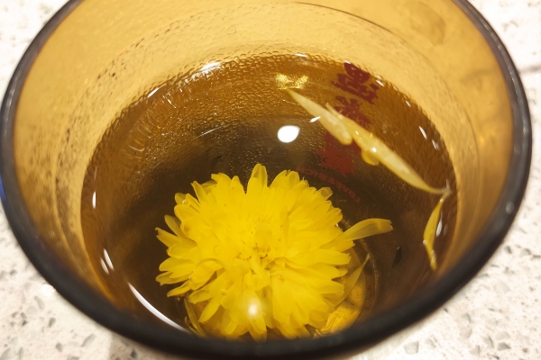 菊花茶怎么泡才正确