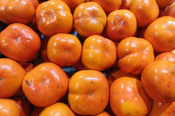 柿子不能和什么同吃