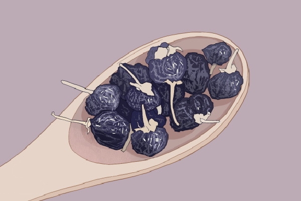 黑枸杞增强免疫力有效吗