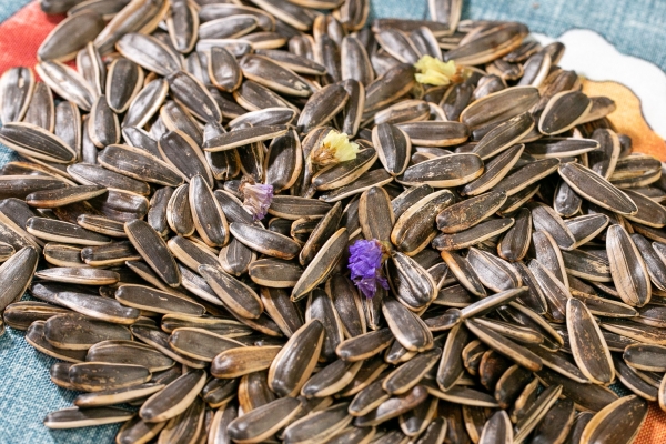 葵花籽是酸性还是碱性食物