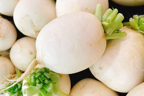 白萝卜雪梨冰糖一起煮的功效有哪些