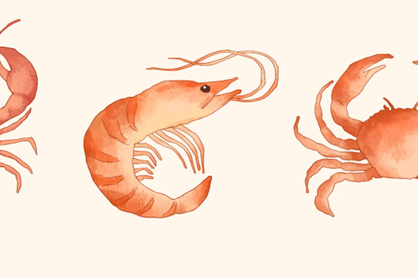 韭菜和海鲜一起吃安全吗