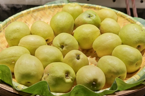 秋月梨对心脏健康有帮助吗