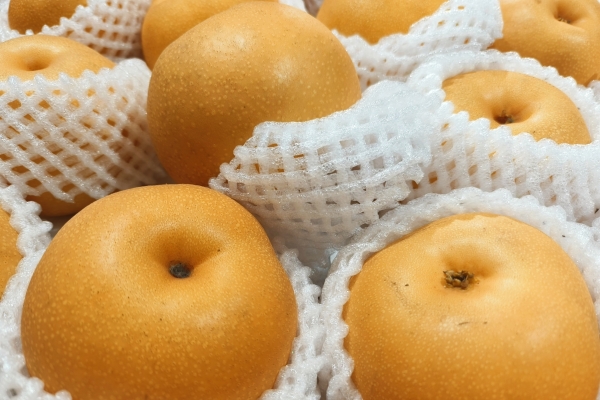 秋月梨吃多了会不会上火