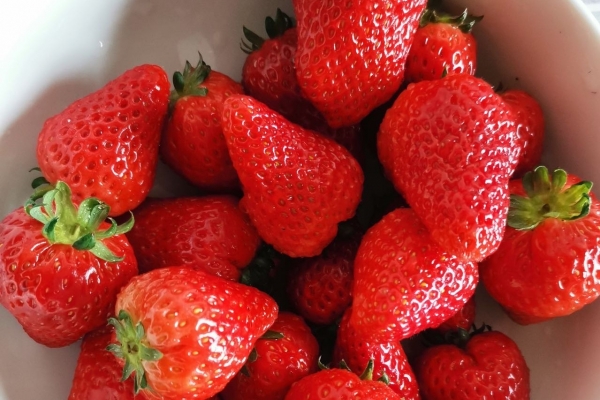 血糖高吃什么水果好