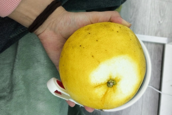 葡萄柚是否能帮助降低血糖