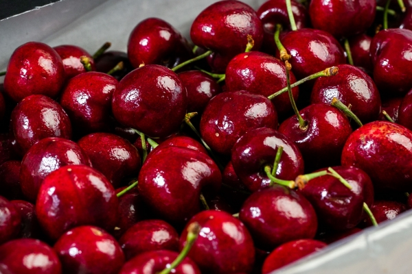 车厘子能帮助预防心脏病吗